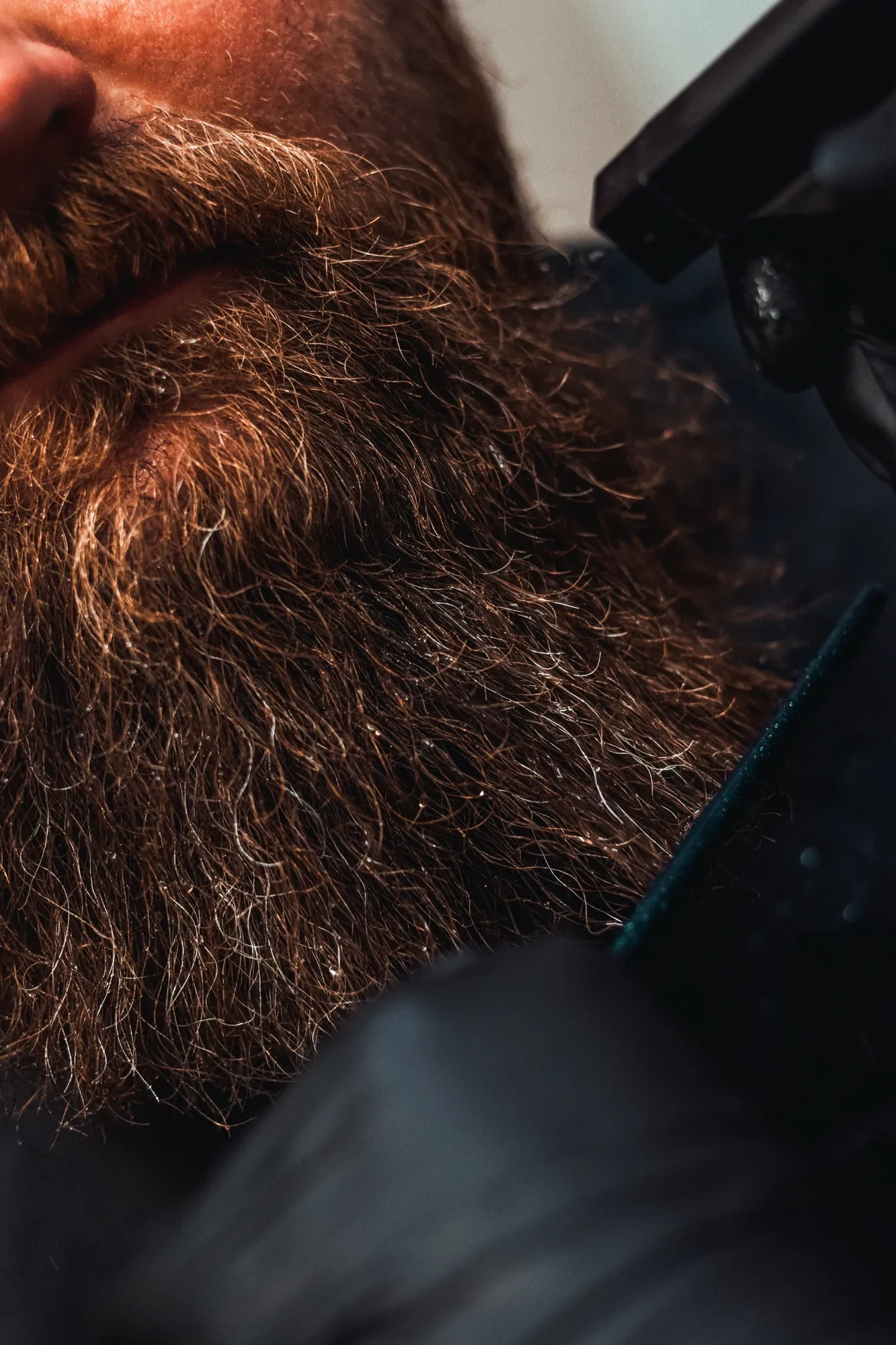 Detail pečlivě upraveného plnovousu – ukázka práce barbershopu Medusa Barber v Plzni