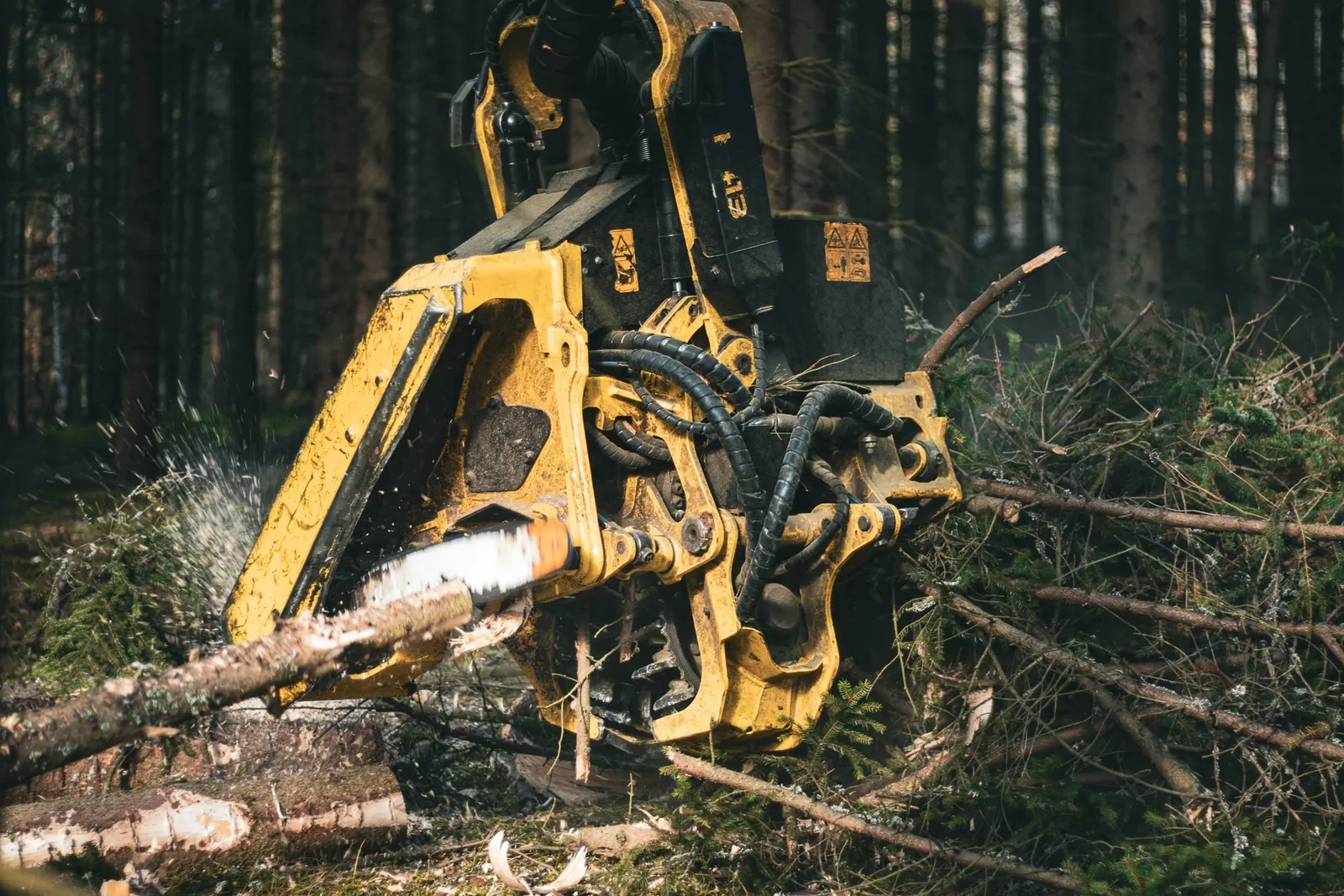Žlutá harvestorová hlavice řeže kmen v lese